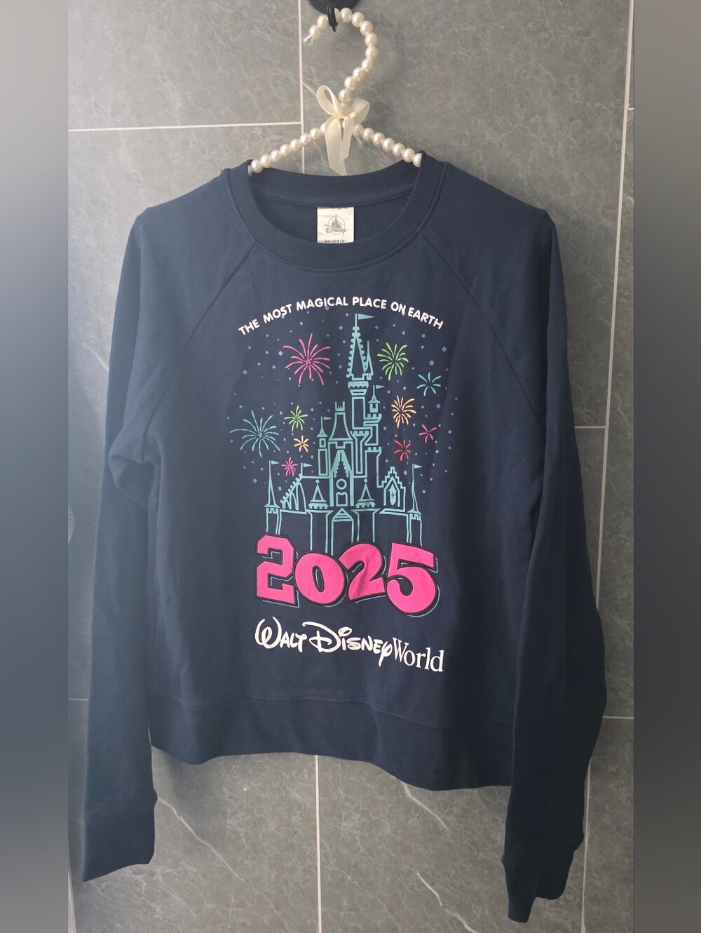 NWT Disney Women's Sweatshirt - 2025 Walt Disney World Cinderella Castle Small